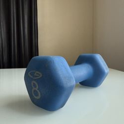 8 Pound Dumbbell 
