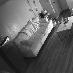 Sofa And Live Seat Set