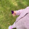 Zuzu