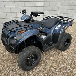 2025 Kawasaki Brute Force 300