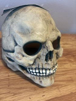 Bone Skull Halloween Mask