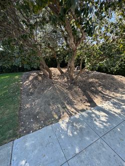 Free Clean Fill Dirt 5+ Yards