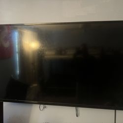 50 + Inch Vizio TV