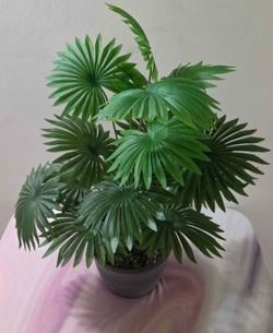 *** CLEARANCE *** Artificial Potted Plant Sealed in Crushed Stone @ Lasting Creations