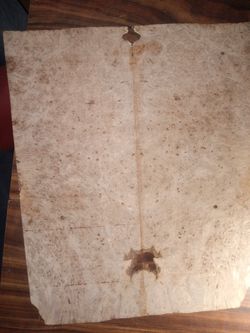 5-A Book Matched Figured Buckeye Burl Guitar Top