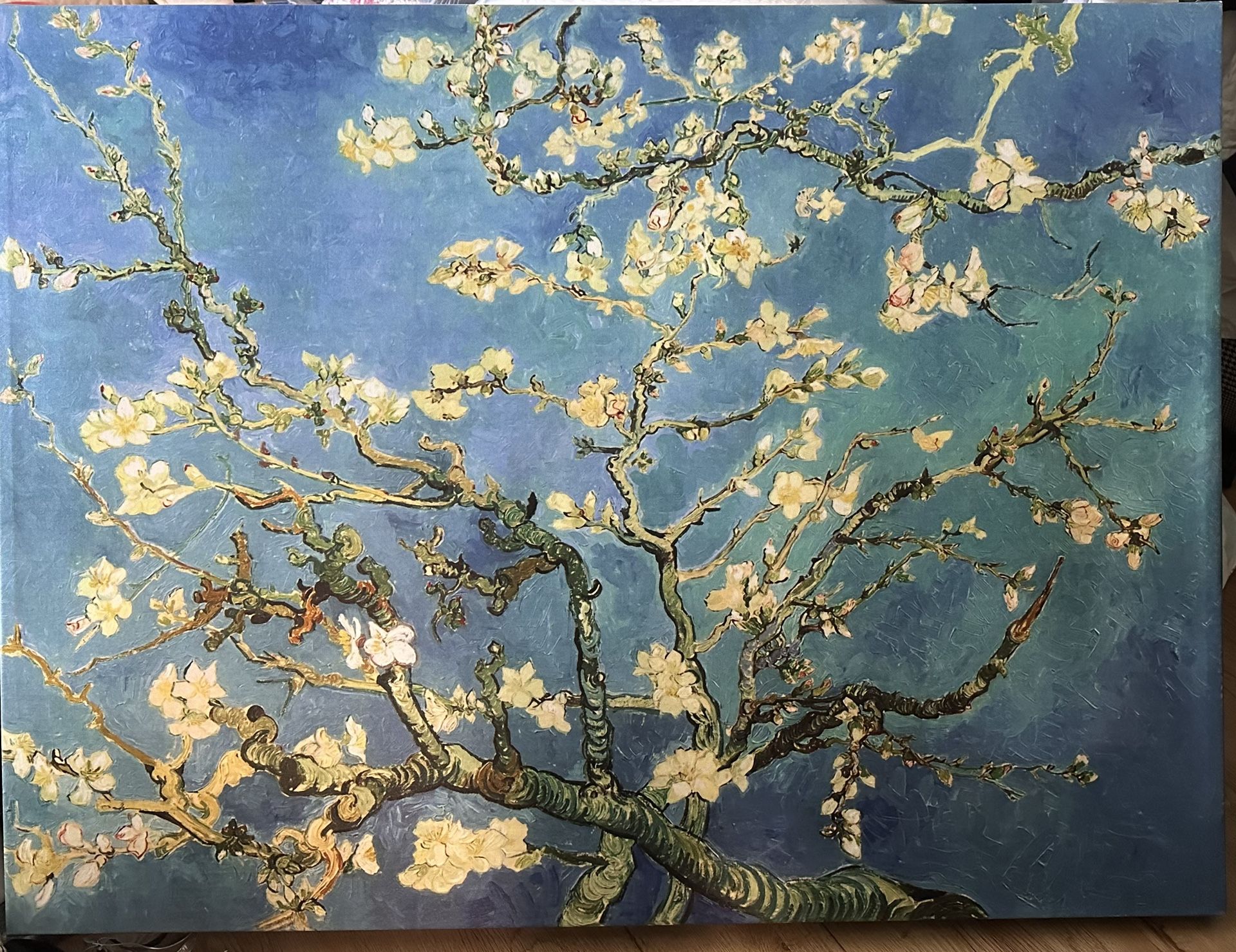 Van Gogh Almond Blossom Canvas Print