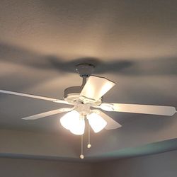 Brand New Fans $35/each 