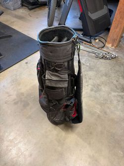 Gold Cart Bag