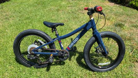 2024 REI REV 20 Kids Mountain Bike