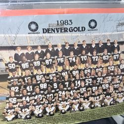 NFL Autographed Memorabilia