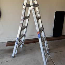 Ladder Werner MT-22 Multi Position 