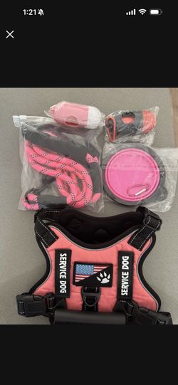 Dog Vest