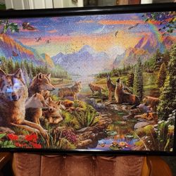 1000 Piece Puzzle With Frame!