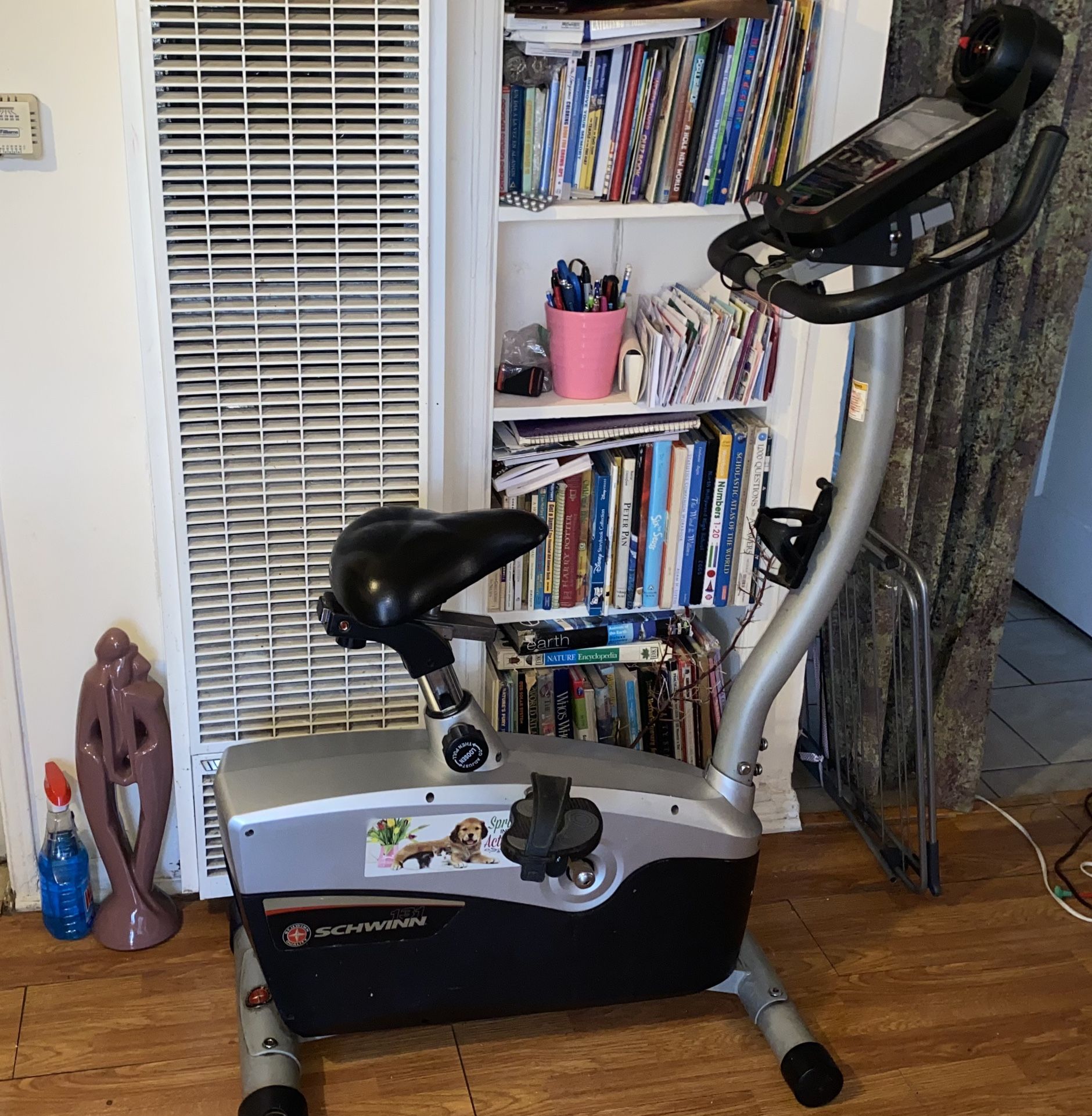Schwinn 113 Exercise Bike