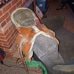 I Have This Treeless Saddle