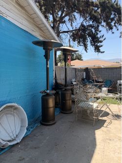 2 patio heathers