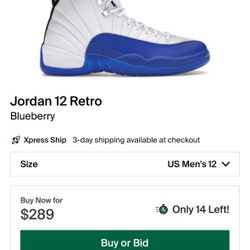 Retro 12 Jordans