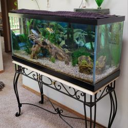 Aquarium, 90 Gallon comes with a lot of extras..
