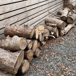 Firewood Free