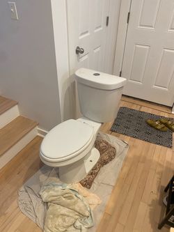 Toilet dual flush