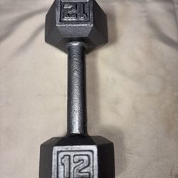 One 12 Lb Dumbbell 