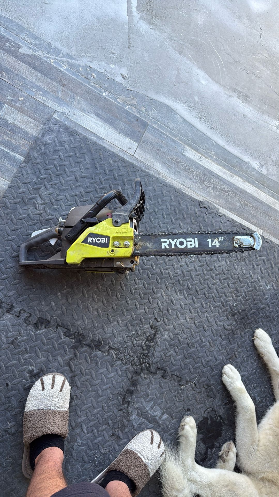 Ryobi Chainsaw