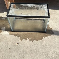 Fish Tank