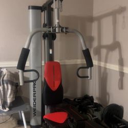 Weider pro 6900