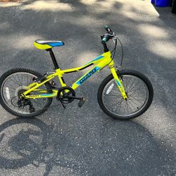 Giant Size 20 Bike