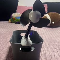 Portable Fan
