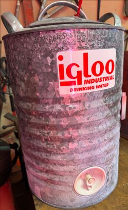 Igloo  galvanized  5 gal