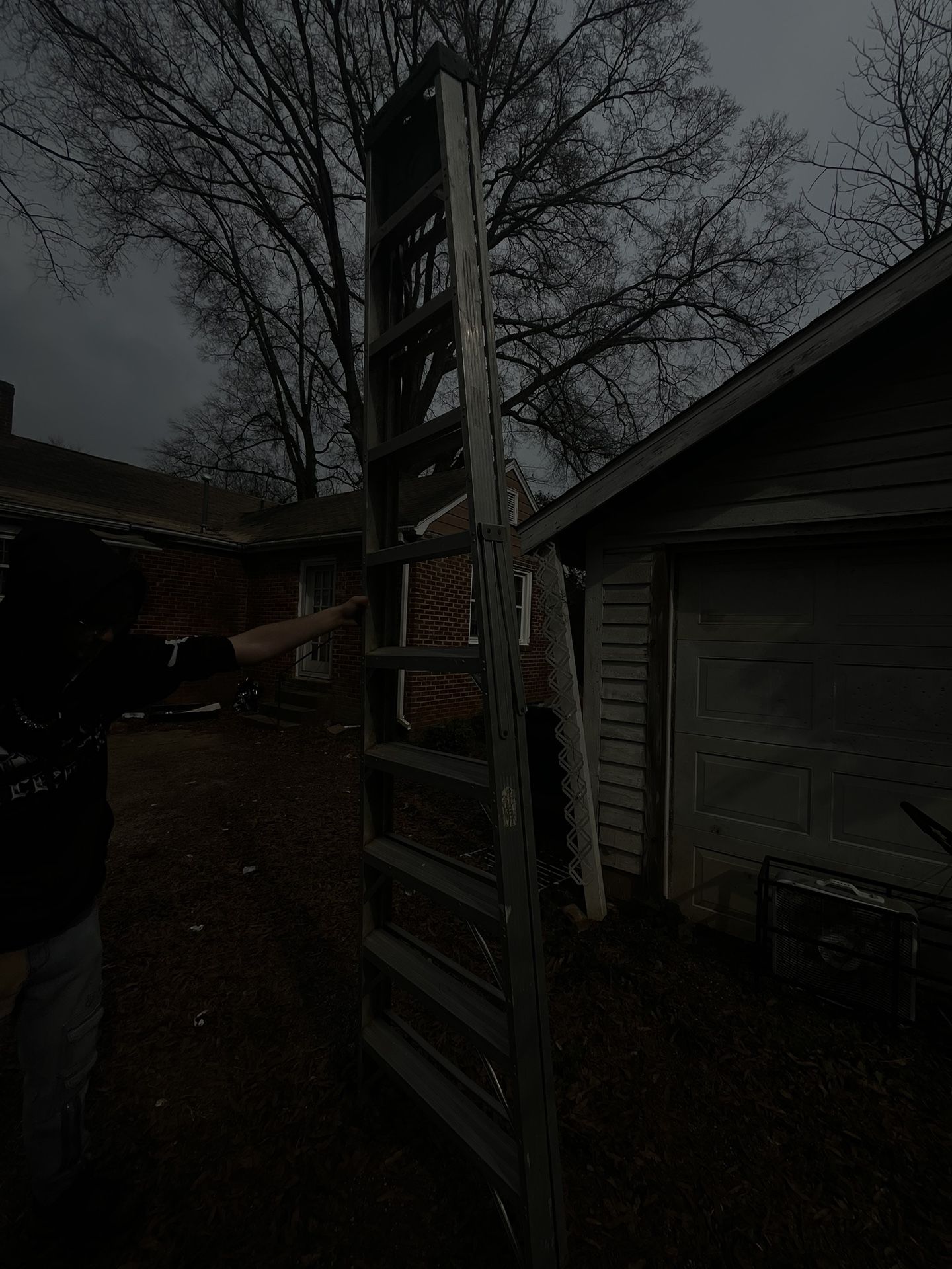 16ft Werner Ladder