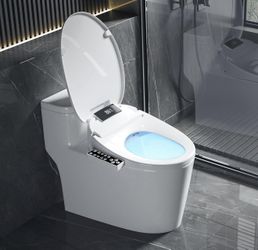 XCQQ Bidet Toilet Seat Elongated Heated Seat Warm Air Dryer Night Light & Remote