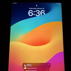 iPad Pro 11 Inch 2nd Gen