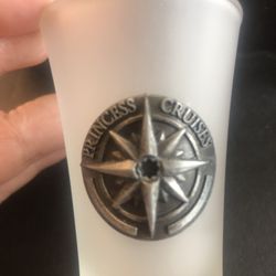 Princess Cruise Collectible 2 Oz Shot Glass (pair)