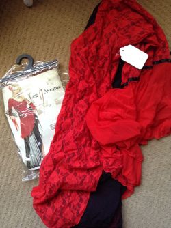 Adult Spanish dancer costume