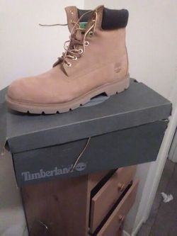 Brand new size 11 timberland