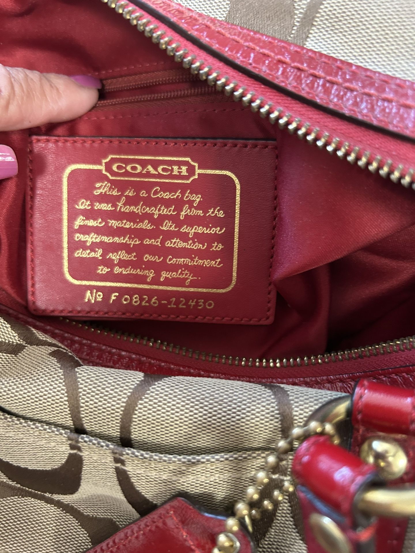 Coach Bag/ Storage Bag All For $ $50