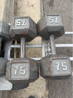 75 lbs dumbbells