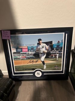 Anthony Volpe signed 16x20 with fanatics cert