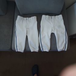 Baseball Pants