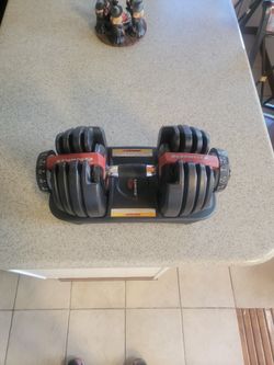 Bowflex Adjustable Dumbbell Only One
