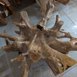 Central root stump coffee table 33x33