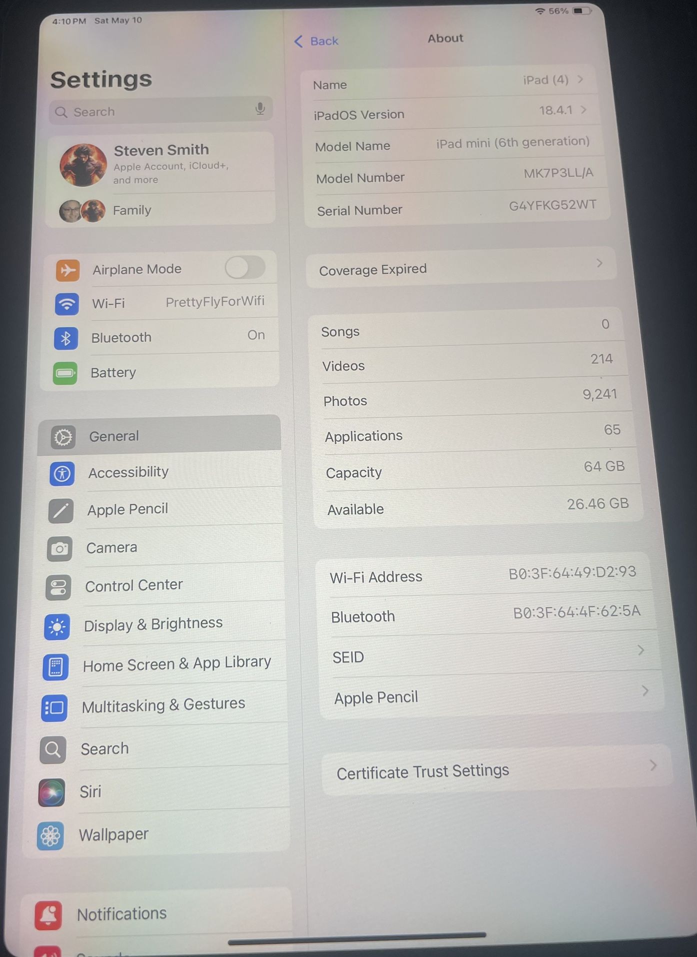 iPad Mini