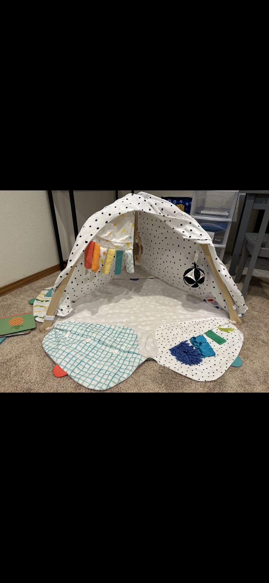 Lovevery Play Gym