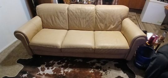 Leather Divani Couch