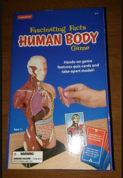 Homeschool Health Fascinating Facts human body learning  game hands on anatomical torso body