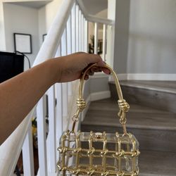 Gold Caged Clutch/bag