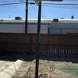 Lifetime Basketball Hoop