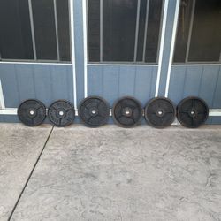 BFCO Olympic Barbell Weight Plates 4 X 45lb & 2 X 35lb